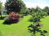 Flowers in the garden at Glór na hAbhann